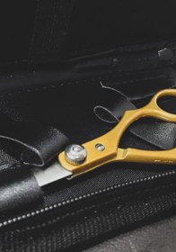 تصویر قیچی کیف دار 102 شیروز 