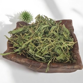 تصویر برگ کاسنی خشک 