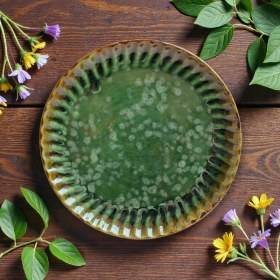 تصویر دیس گرد شره ایی 