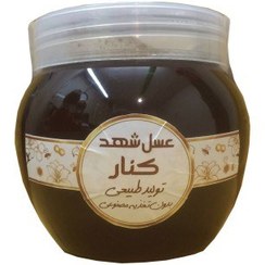 تصویر عسل شهد کنار گوهر شهد مانا نیم کیلوگرمی 