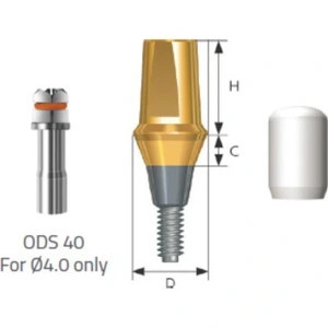 تصویر فروشگاه دندانچی