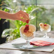 تصویر بستنی خوری پاشاباغچه مدل 440211 بسته ۲ عددی تایملس 