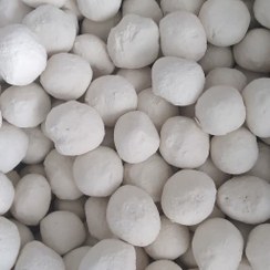 تصویر روشور شترمرغ 