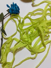 تصویر کش لبه شورت 