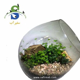 تصویر تراریوم کد H714 