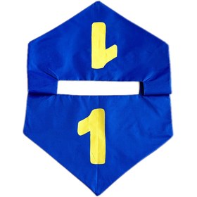 تصویر نشان تیمی 