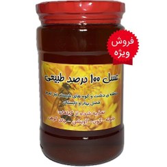 تصویر عسل طبیعی چند گیاه یک 1 کیلویی بهاره (عسل شهد) 