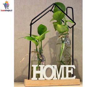 تصویر گلدان تراریوم دیواری 