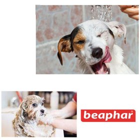 تصویر شامپو سگ beaphar Puppy Shampoo 