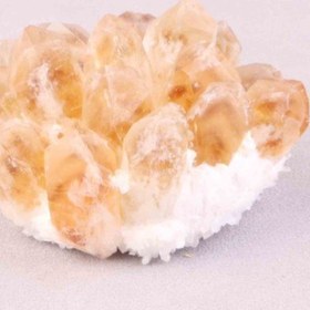 تصویر راف سیترین 