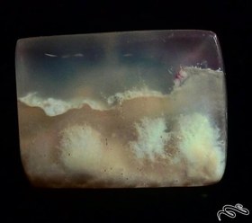 تصویر نگین شجر برفی منظره آکواریومی بسیار زیبا (۲۰) 