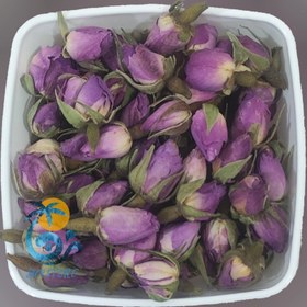 تصویر گل محمدی 