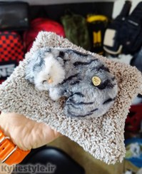 تصویر عروسک پولیشی گربه خوابیده 18 سانتی موزیکال همراه با قالی (دارای صدای میومیو با فشار شکم) گربه خوابیده‌ی بامزه با صدای میومیو؛ نرم، خوش‌دست و مناسب هدیه!