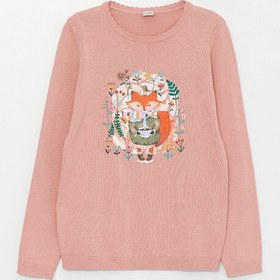 تصویر پلیور کودک / نوجوان ال سی وایکیکی lc waikiki | W33347Z4-VBB