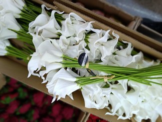 تصویر گل مصنوعی شیپوری لمسی مجموعه ۱۰ عددی 