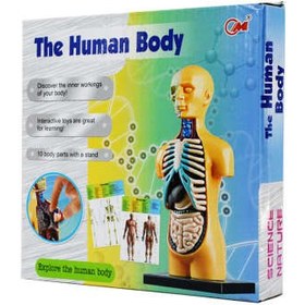 تصویر بازی آموزشی طرح مولاژ آناتومی بدن مدل The Human Body 3305 