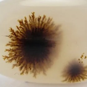 تصویر سنگ شجر کد 2322 