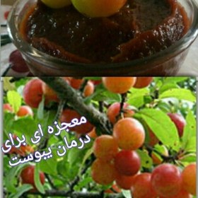 تصویر رب الوچه ملس یا رب گوجه سبز شمال با طعم ملس درجه یک واعلا در وزن 430 گرمی 