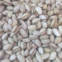 تصویر پسته و بادام 