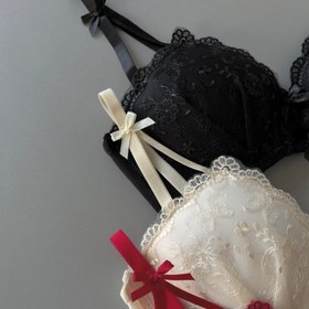 تصویر سوتین پرنسس 