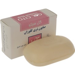 تصویر صابون ضد باکتری گل سیتو مدل تری کلوزان 0.3 وزن 100 گرم 