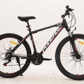 تصویر دوچرخه ZK 100 سایز 20 با برنداصلی فونیکس مدل فلای FLY 