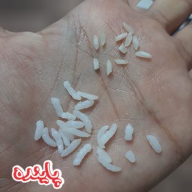 تصویر برنج چمپا پاینده 