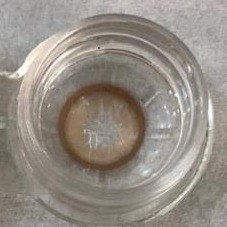 تصویر لنز رنگی یونیک مدل برنز 