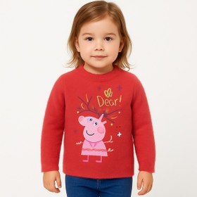 تصویر پلیور دخترانه سایز 4-5 سال کد 1029 