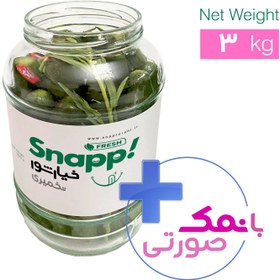 تصویر خیارشور تخمیری ( 3000 گرم ) KHIARSHOOR TAKHMIRI (PROBIOTIC)