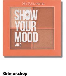 تصویر پالت 4 رنگ رژگونه پاستل Pastel Show Your Mood Wild کد 441 