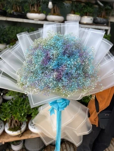 تصویر فروشگاه گل و گیاه فلوریکا