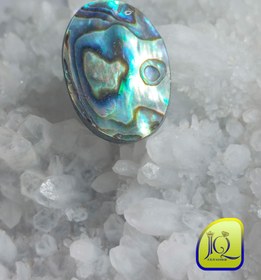 تصویر نگین صدف آبالون 