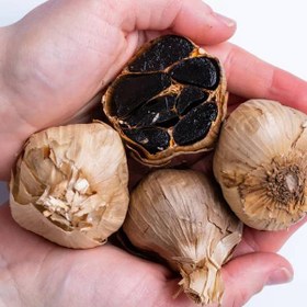 تصویر سیر سیاه بیز 