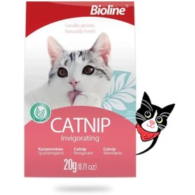 تصویر پودر گیاه کتنیپ بایولاین 20گرم – Bioline Catnip Leaves 20G 