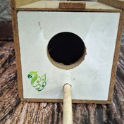 تصویر آشیانه چوبی مرغ عشق و طوطی‌سانان کوچک 