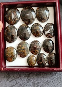 تصویر پکیج شجر مشکی گل زرد Shajarmeshkipack