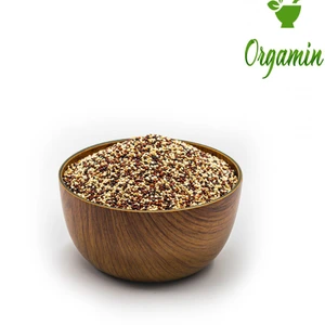 تصویر فروشگاه ارگامین