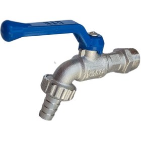 تصویر شیر حیاطی (BTS) 