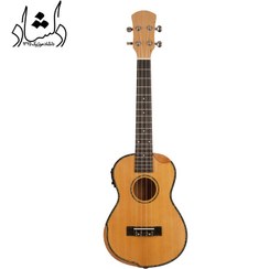 تصویر گیتار اوکوله له فندر پیکاپ دار 