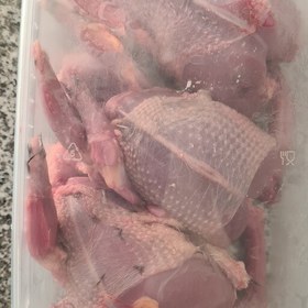 تصویر گوشت کبوتر چاهی ارگانیک در بسته های 3 عددی پاک شده در ظروف یکبار مصرف . 