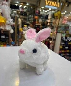 تصویر خرگوش راه رو باطری خوری 