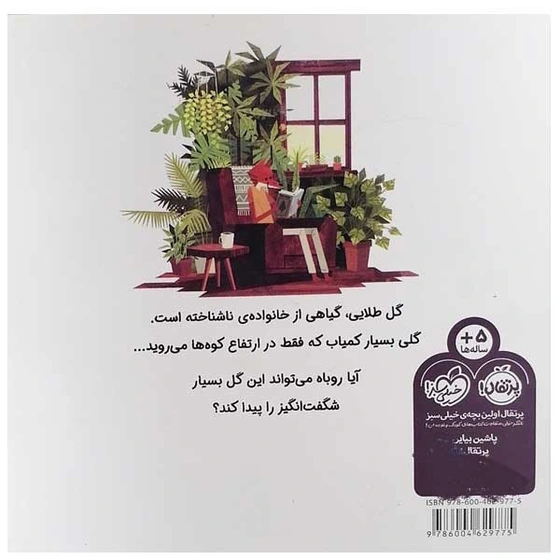 خرید و قیمت کتاب گلی به رنگ خورشید اثر بنجامین فلاو انتشارات پرتقال | ترب