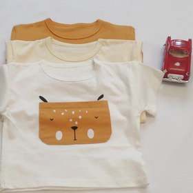 تصویر پیش‌نویس ۲۹ 