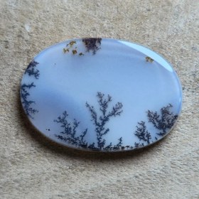 تصویر شجر قائن زیبا خاص 