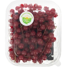 تصویر ردکارنت 