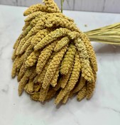 تصویر ارزن خوشه ای - 200 گرم 