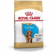 تصویر غذای خشک توله سگ کوکر اسپانیل رویال کنین 3 کیلویی Royal Canin Cocker Puppy 3kg