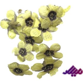 تصویر گل خشک سیلن 9 تایی G123 