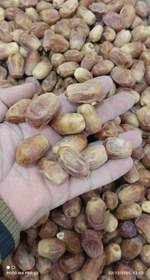 تصویر زاهدی(قصب) 